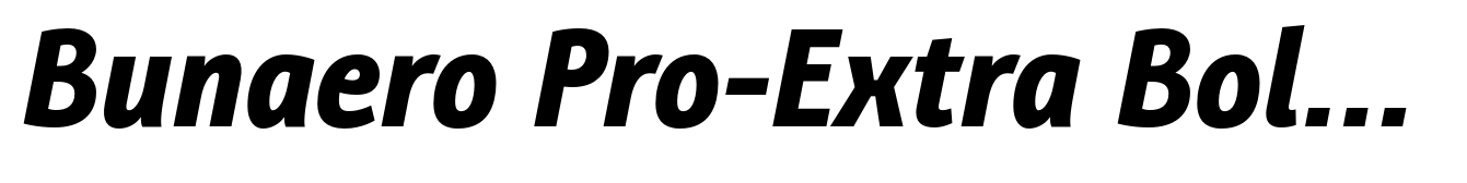 Bunaero Pro-Extra Bold It